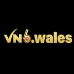 Profile picture of vn6wales